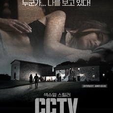 CCTV : 은밀한 시선